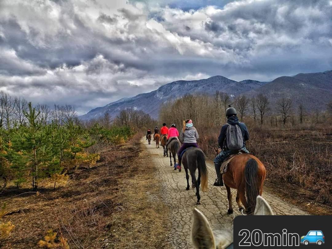 Lovinac  Ruralna Kuca Za Odmor Lika 빌라 외부 사진